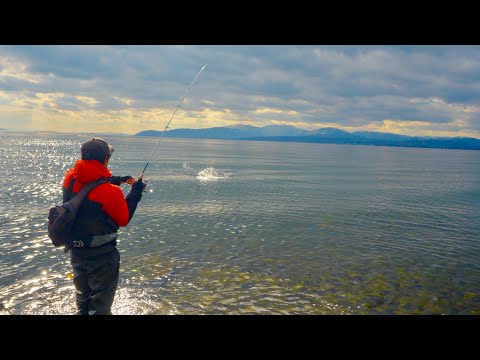 【噂の釣法】は…？意味不明なほど釣れるやん・・。