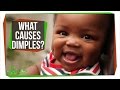 Understanding Dimples: Facts and Myths