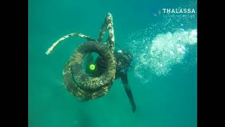 Project aware- save the environment