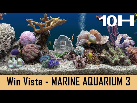 marine aquarium 3 code