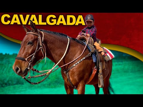 Indo para cavalgada