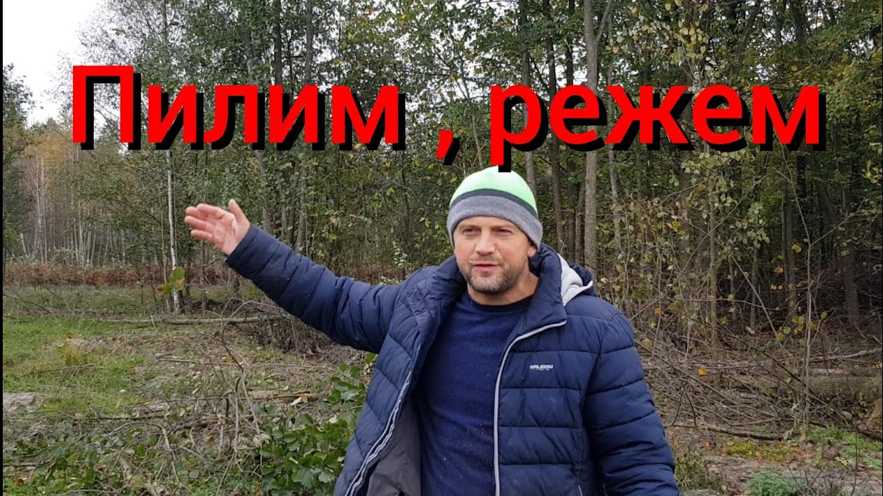 Теперь у нашего хутора красивые пейзажи со всех сторон. Печёночный торт от подписчика