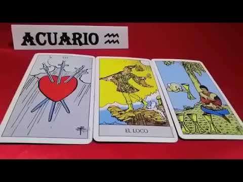 ACUARIO  "ALGUIEN VIENE HACIA TI... TE ENTERAS DE LA VERDAD"