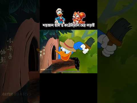 শয়তান হাঁস ও কাঠবিড়ালি দের লড়াই #3danimation #cartoon