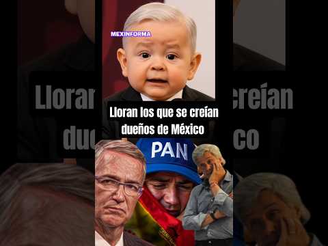 ¡Cuánta razón #AMLO! #shorts #elecciónjudicial #1dejunio