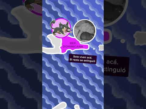 ¿Qué Pokémon habría en LATINOAMÉRICA? #Shorts