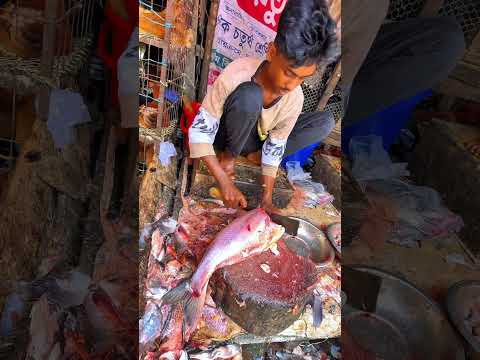 Live Pangah Fish Cutting 🙂 #shorts #shortfeed