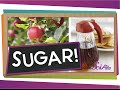 Understanding Sugar and Its Sources