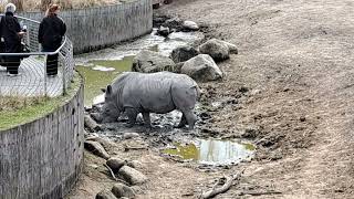 Tur i Zoo 2026