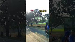 गांव का खूबसूरत नजारा#ganvkilifestyle #viralvideo #trendingshorts #villagerlifestyle