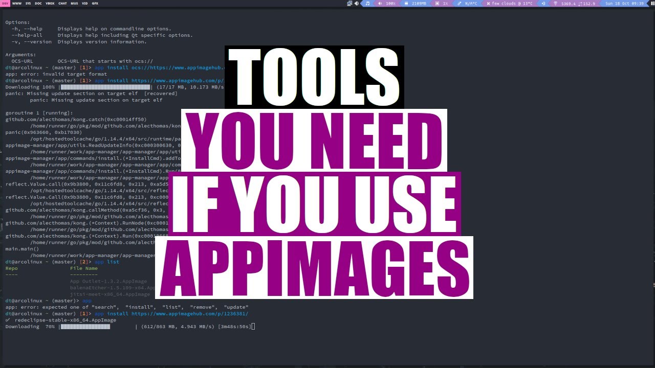 I Think I Like AppImages More Than Snaps And Flatpaks DistroTube