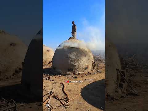 How Charcoal Are Made #shorts