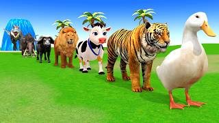 Long Slide Game With Cow Elephant Gorilla Hippopotamus Tiger 3d Animal Game Funny 3d Animals Video