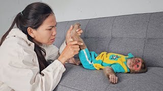 Monkey Su sneaked into forest play and slightly injured leg!