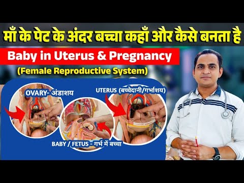 Full Video-माँ के पेट के अंदर बच्चा कहाँ और कैसे बनता है | Baby in Uterus & Pregnancy, reproductive