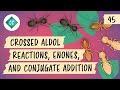 Enolate Formation and Nucleophiles