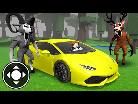 Playing with Lamborghini in 99 nights in the forest