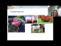 Mendelian Genetics and Phenotypes