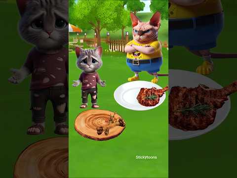 a best friend will always help ! #shorts #catvideos #catlovers #trending