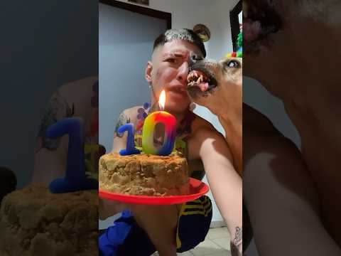 10 AÑOS 🥹❤️‍🩹 PARA EL VIEJO 👴🏻 ROCKY 🐶❤️ #viral #argentina #parati #humor #risas #videoshort