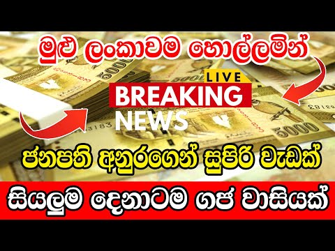 hiru news 9 55 today live now  | hiru news 9 55 live |  hiru tv news today 9 55 pm liveToday Hir