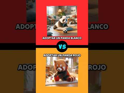 ¿QUÉ PREFIERES?