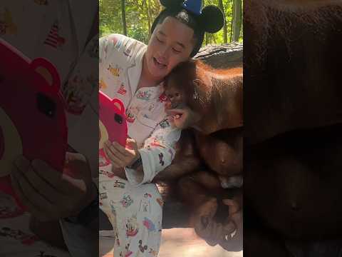 iPad Kid ตอนไปสวนสัตว์