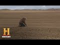 Farm Life Challenges and Teamwork