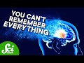 Memory Cells and Brain Connections