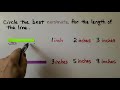 Estimating Lengths and Measurements
