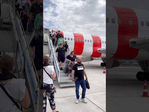 ОПАСНАЯ месть в отелях Египта🇪🇬