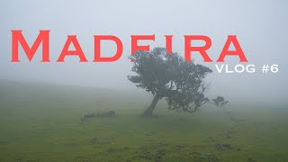 Dieser ORT ist absolut MYSTISCH! | Madeira VLOG #6