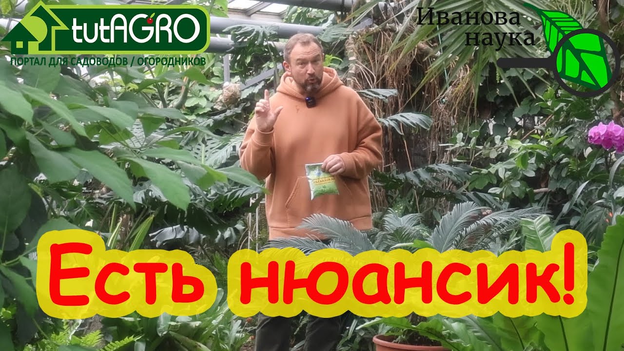 Мощное природное удобрение есть у каждого на кухне! Как подкармливать сывороткой, молоком и кефиром.