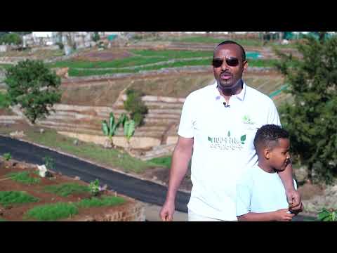ጠቅላይ ሚኒስትር ዐቢይ አሕመድ ከናይጄርያው ምክትል ፕሬዚዳንት ካሺም ሼቲማ እና የፌዴራል እና ክልል ከፍትኛ አመራሮች ጋር የተከላ መርሀግብር