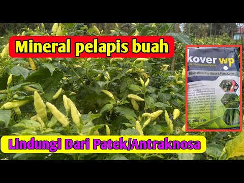 Penyemprotan mineral pelapis tanaman