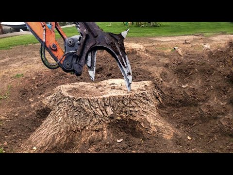 Dangerous Fastest Chainsaw Tree Cutting Monster Stump Removal Excavator, Extreme Logging Wood Truck