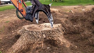 Dangerous Fastest Chainsaw Tree Cutting Monster Stump Removal Excavator, Extreme Logging Wood Truck