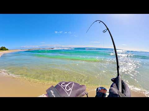 1 Hour of Beach & rock fishing for humble Australian winter species with CATCH n COOK & Camping