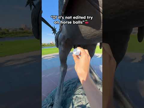 "If it's not edited try on horse balls"