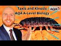 Taxis and Kinesis in Wood Lice