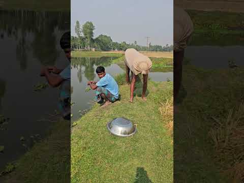 The cow came and took the pot in her hand.