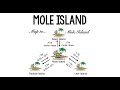 Converting to Moles with Mole Island