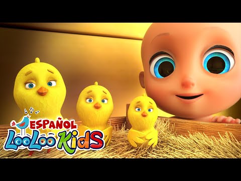 Los Pollitos + Rompe la Pinata + La Vaca LOLA - Canciones Infantiles para niños - LooLoo Kids