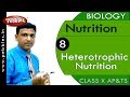 Parasitic and Saprophytic Nutrition Concepts