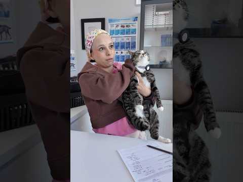 Büyü için kediye yaptıkları eziyet😳🥲