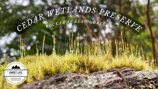 Oregon Coast Hidden Gem Hike | Cedar Wetlands Preserve in Rockaway Beach Oregon