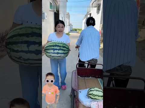 مقالب مضحكه عايزه بطيخة