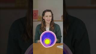 Eizellen stagediven! 🎸🧑‍🎤| SWR Wissen