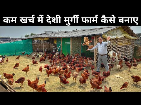 जुगाड़ से कम खर्च में बना डाला देशी मुर्गी फार्म | Low Cost Desi Poultry Farm | Desi Murgi Palan