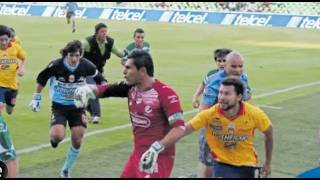 🔴 Vengan Amigos a Burlanos de PUMAS